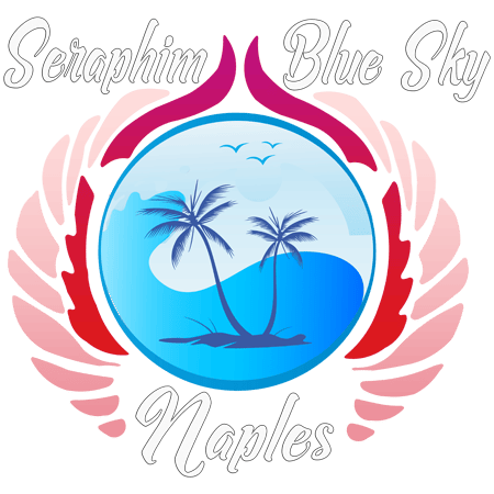 Welcome to The Seraphim Blueprint© System of Angelic Healing. You are about to read about the opportunity to take a journey of self-discovery, self-healing, healing for others and glorious awakening to celestial reality and personal empowerment.